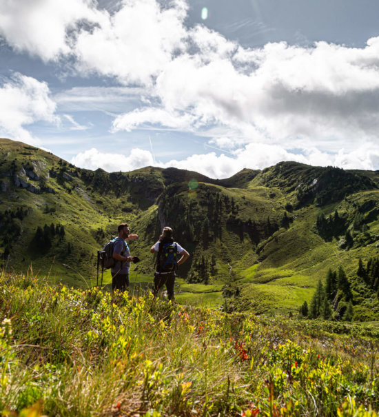 Almsommer auf der Salzburger Sonnenterrasse