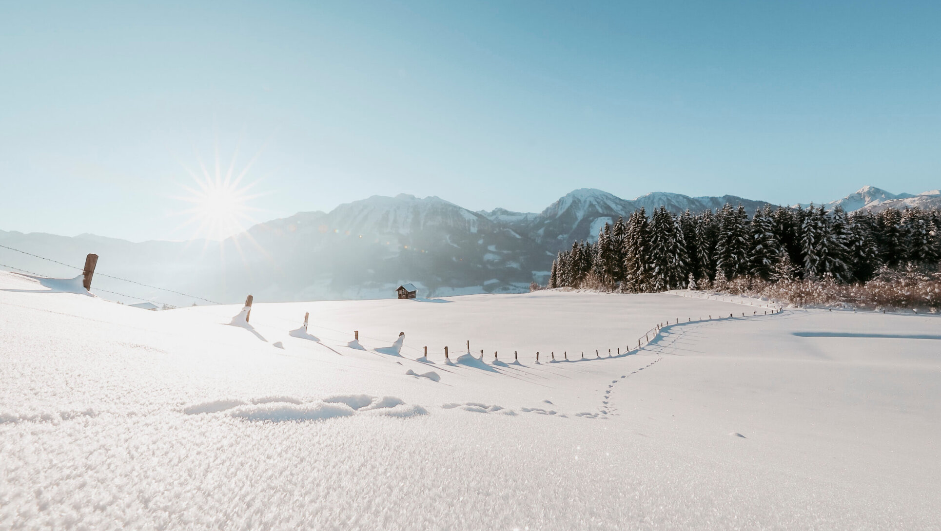 Winterwanderungen auf der Sonnenterrasse