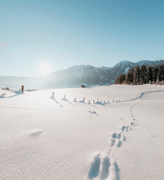 Winterwanderungen auf der Sonnenterrasse