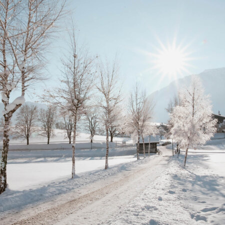 Winterwanderungen auf der Sonnenterrasse