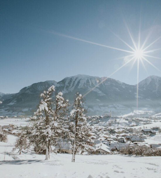 Winterwanderungen auf der Sonnenterrasse