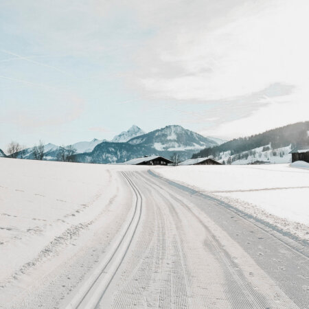 Langlaufen in Goldegg, Salzburger Sonnenterrasse
