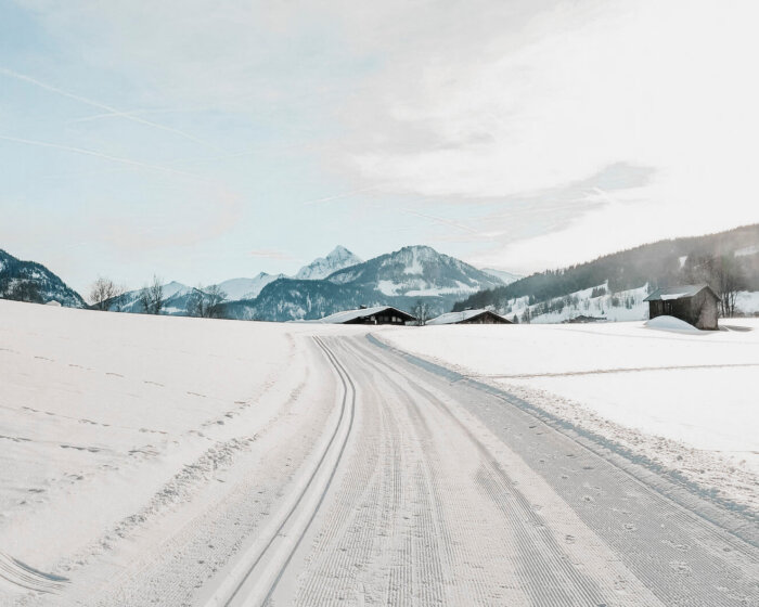 Langlaufen in Goldegg, Salzburger Sonnenterrasse