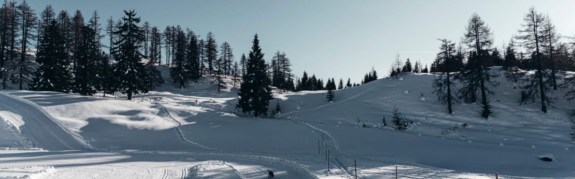 Winter auf der Salzburger Sonnenterrasse