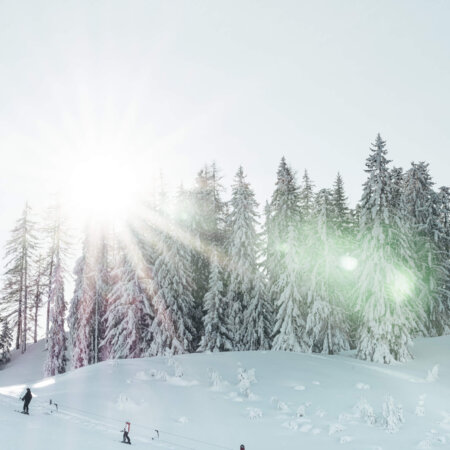 Winter auf der Salzburger Sonnenterrasse, St. Veit, Goldegg und Schwarzach