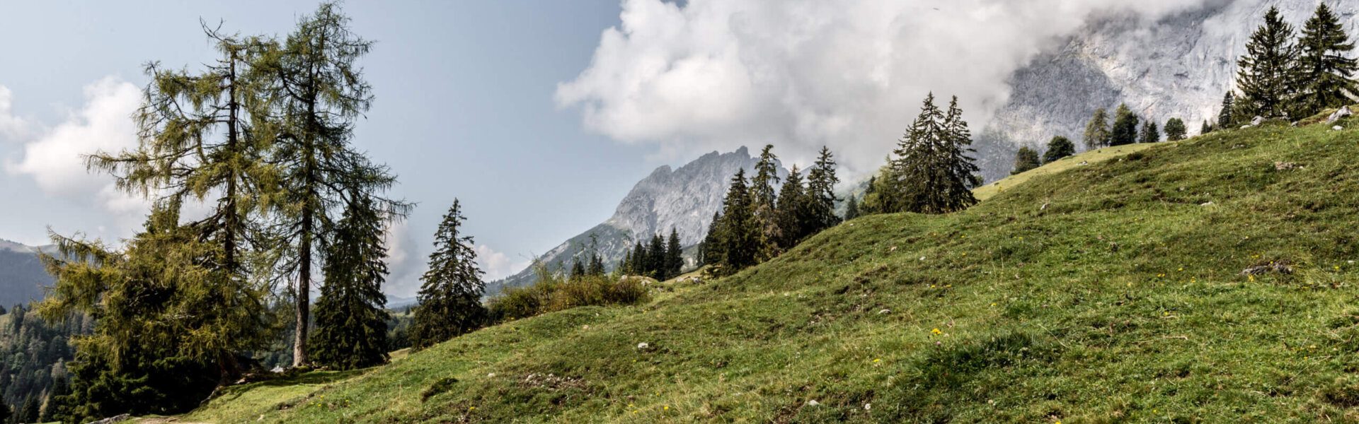 Salzburger Sonnenterrasse, Wanderweg