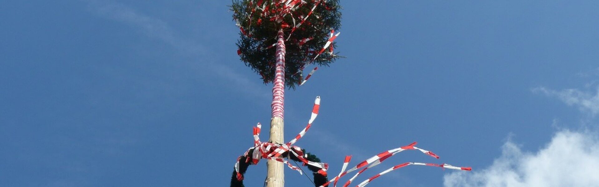 Maibaum aufstellen