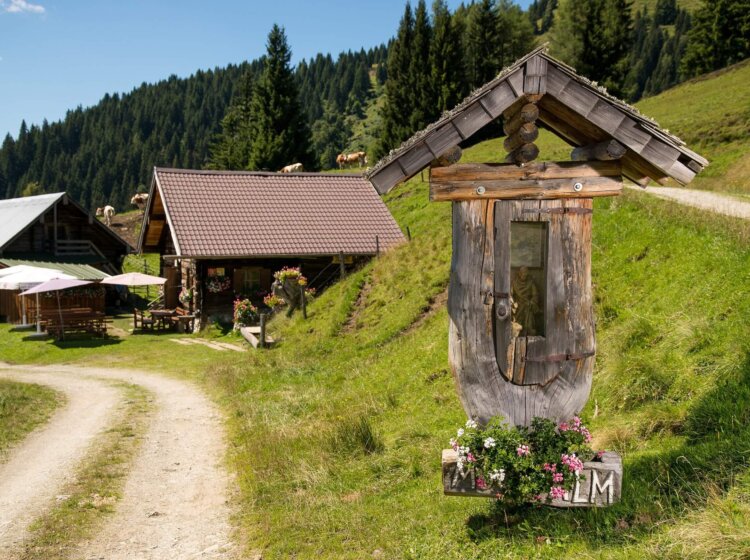 Moosalm in Dienten