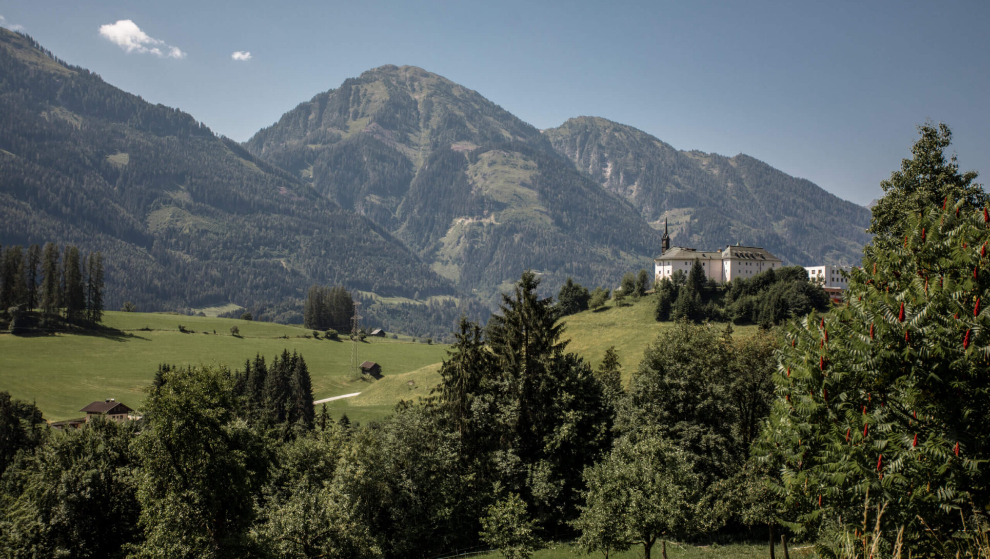Bittgang nach Provinzenz