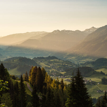 Salzburger Sonnenterrasse