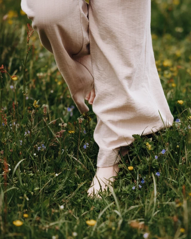 𝐁𝐚𝐫𝐟𝐮ß 𝐢𝐦 𝐆𝐫𝐚𝐬.
Ein Schritt nach dem anderen.

Die Wiese trägt, ohne etwas zu verlangen.
Der Moment ist still – und genau richtig so.

ᴍᴀɴᴄʜᴍᴀʟ ʙʀᴀᴜᴄʜᴛ ᴇs ɴɪᴄʜᴛ ᴍᴇʜʀ.

📸 @twominds.studio_